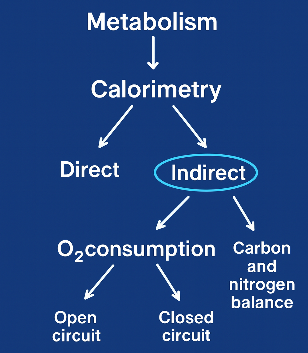 Indirect Calorimetry