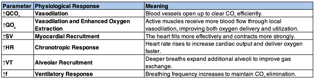 Physiological recruitments diagram